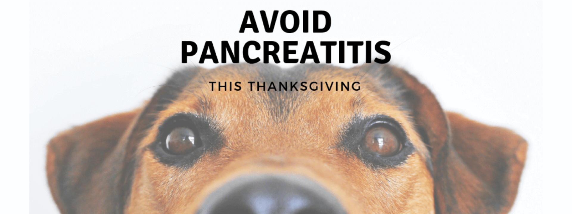 Avoid Pancreatitis This Thanksgiving