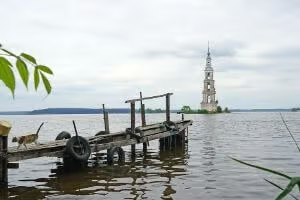 Flooding disaster and pets