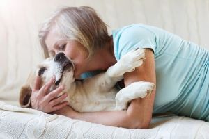 how to know if pets are at end of life